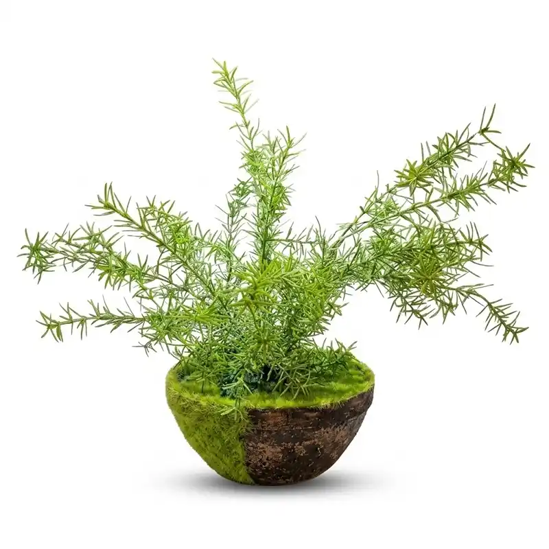 Evergreen Moss Pot Decor preview 2